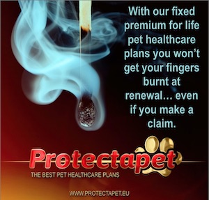 Burning Match advertising fixed premiums for life on pet healthcare plans with Protectapet in Spain.